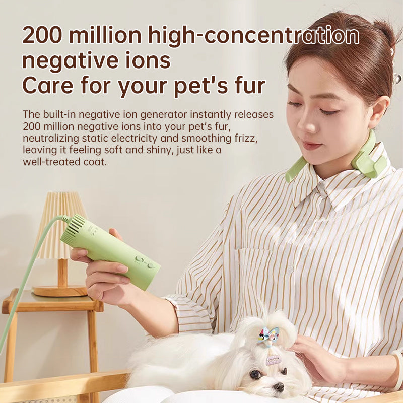 High-Speed Quiet Pet Hair Dryer