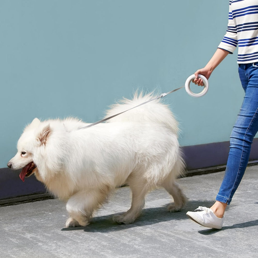 MOESTAR Smart LED Retractable Leash