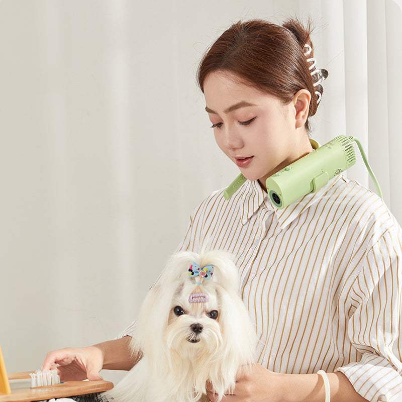 High-Speed Quiet Pet Hair Dryer