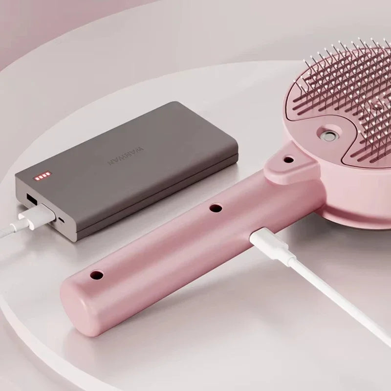Electric Steam Spray Pet Brush