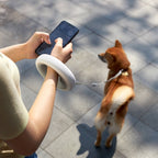 MOESTAR Smart LED Retractable Leash