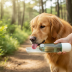 Dog drinking from folded green lid